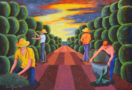 Entardecer no Cafezal